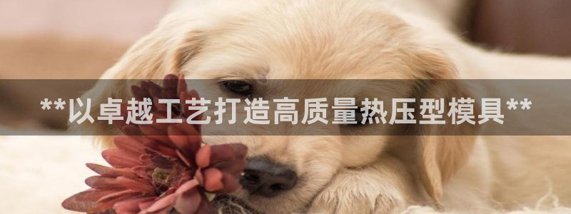 emc易贝体育怎么样:**以卓越工艺打造高质量热压型模具