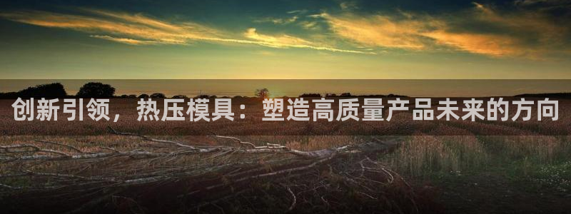 易倍申服用方法:创新引领,热压模具:塑造高质量产品未来的