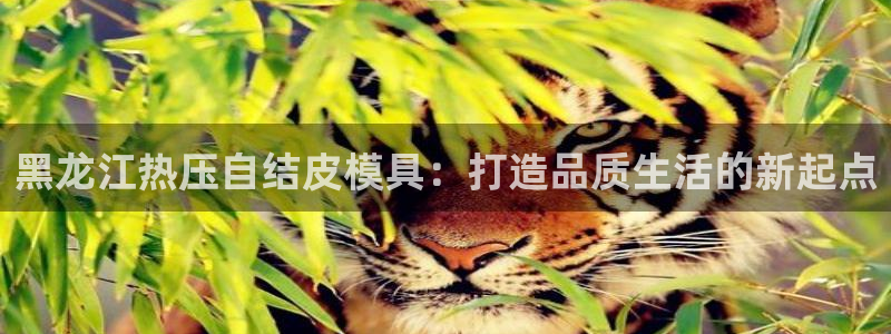 emc高频比低频好改：黑龙江热压自结皮模具：打造品质生活