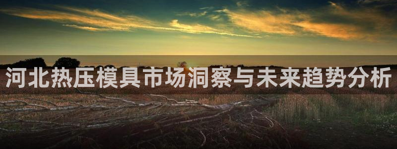 易倍单词官方网站:河北热压模具市场洞察与未来趋势分析